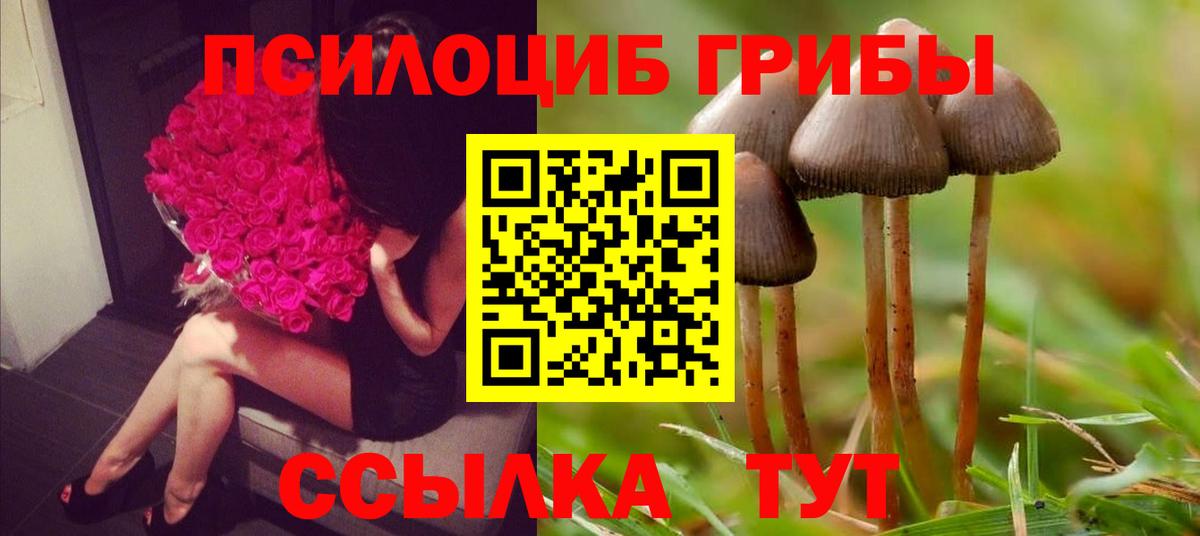 магазин продажи   Вход с VPN  Балашов  Псилоцибиновые грибы прущие грибы  Галлюциногенные грибы Psilocybe 