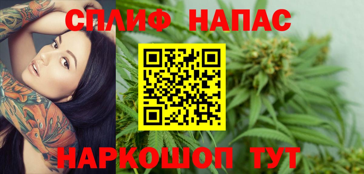 Бошки Шишки ГИДРОПОН Балашов